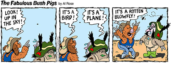 Up In The Sky, a Blow Fly!