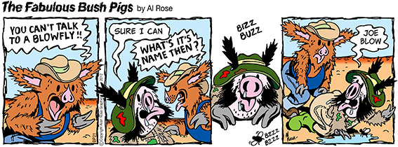 Blowfly called Joe Blow