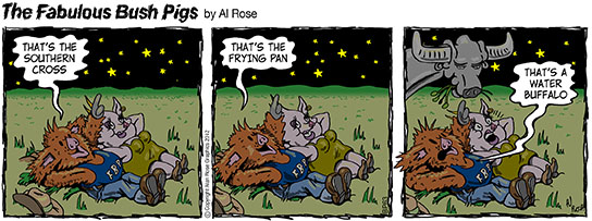 looking at stars, a water buffalo appears