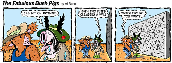 Ronny bets on flies on wall