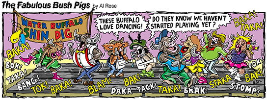 Buffalo dance band hasn't started