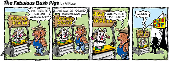 Dehydrated watermelon is... melon