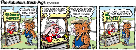 Apple will be rotten soon