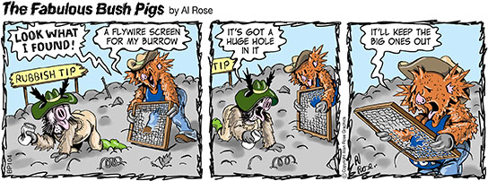  big hole in flyscreen