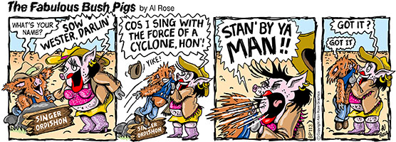 Introducing Sow Wester