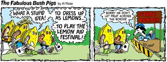 dressed as fruit at border