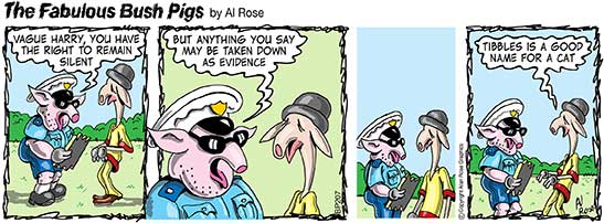 vague harry gives evidence