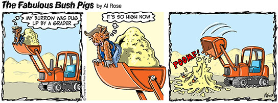 great view from grader