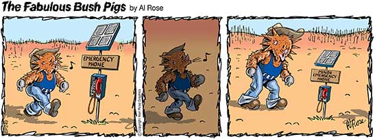  minor emergency phone is small