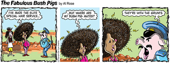 bush pigs are grunts