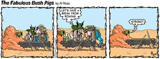 colour cartoon strip about a rowing race