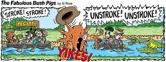 colour cartoon strip about a rowing race