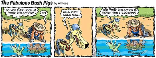 Reflection Raspberry