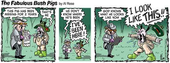 Pig missing for 2 years